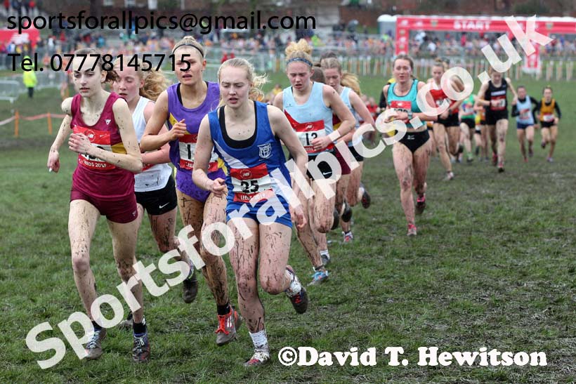 Senior girls 2019 New Balance English Schools Cross Country Champs, Temple Newsam, Leeds. Photo:  David T. Hewitson/Sports for All Pics